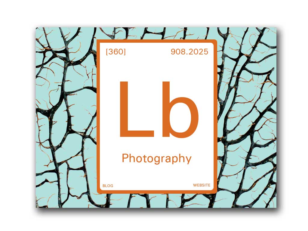Lb Photography